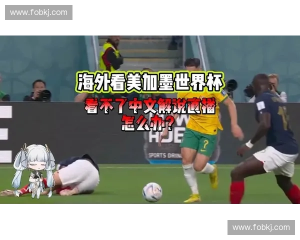 美加墨世界杯直播全程观看指南与精彩赛事实时解说